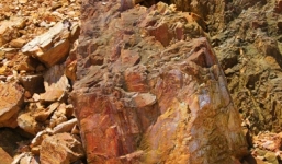 Rộ thông tin thương lái Trung Quốc săn lùng đá lạ